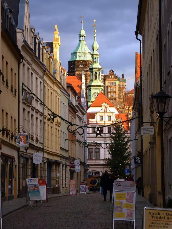 Apartment Saxonia 皮尔纳 外观 照片