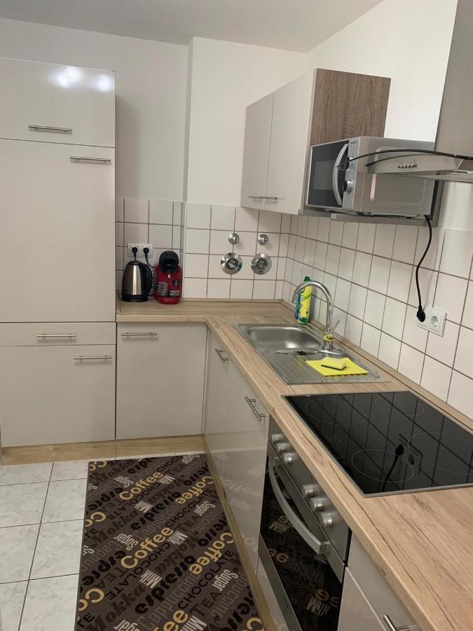 Apartment Saxonia 皮尔纳 外观 照片