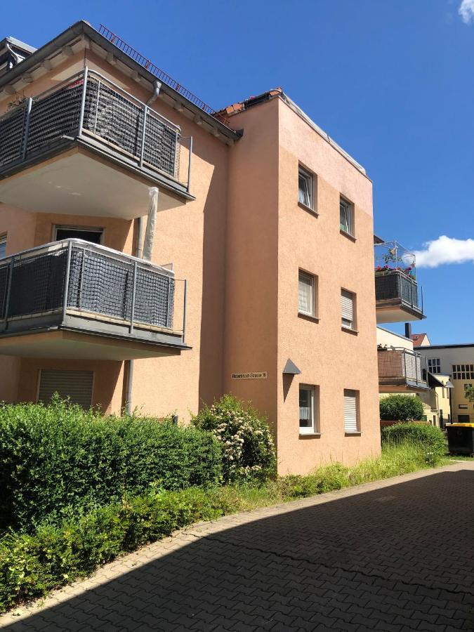 Apartment Saxonia 皮尔纳 外观 照片