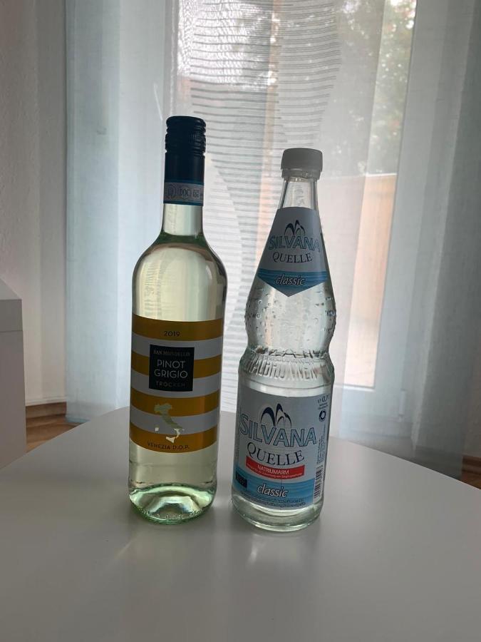 Apartment Saxonia 皮尔纳 外观 照片