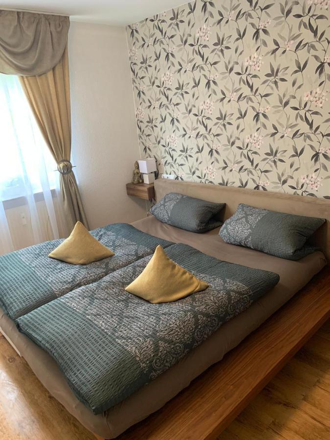 Apartment Saxonia 皮尔纳 外观 照片